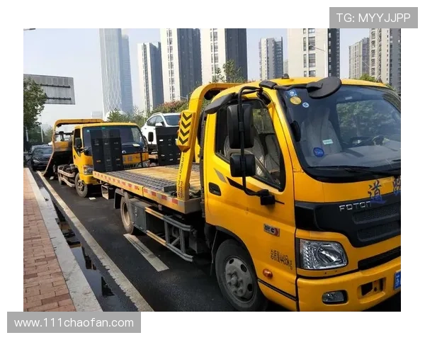 澳门新彩网app下载最新版手机：畅享便捷购彩新体验